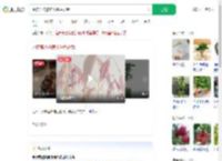 水培荔枝核养出粉色盆栽_360搜索