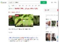 树上竟然开出了珠宝吊坠_360搜索