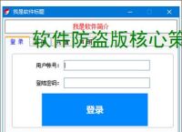 软件防盗版核心策略：五大防护技术解析