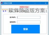 软件防盗版方案：保护开发者权益的必备措施