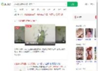 女生毕设被螨虫啃食心态崩了_360搜索