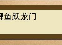 三国志幻想大陆皓麟姜维阵容搭配推荐 - 逗游网