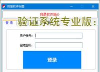 验证系统专业版：企业级安全认证解决方案