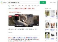 土狗长毛靠智商在狗群称霸_360搜索