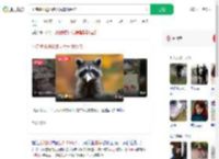 小浣熊出逃50多天后车祸受伤_360搜索