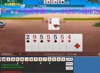 3 人 16 张局专属！JJ 斗地主小程序记牌器助你躺赢