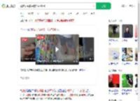 顾客误踩猫尾被挠获赔590_360搜索