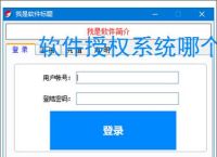 软件授权系统哪个好