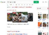 货车坠桥遭村民哄抢冻品_360搜索