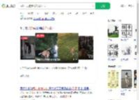 武汉一只狗练出神入化棍法_360搜索