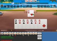 陕麻圈捉老麻子记牌器 - 智能辅助工具，助你轻松掌握牌局