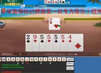 多乐跑得快记牌器是一款专为微信小程序设计的智能辅助工具