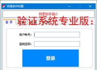 验证系统专业版：多维度软件防护方案解析