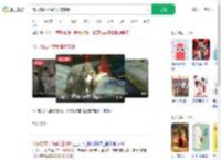 18只猫成了海鲜摊的掌柜_360搜索