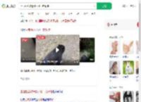 上山捡菌被迷路小熊一路跟随_360搜索