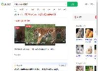 小猫误入虎园被捕食_360搜索