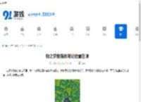 物之梦散落的笔记位置在哪-物之梦散落的笔记在哪里找到 - 91手游网