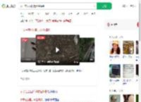 女子在公园附近放生蟑螂_360搜索