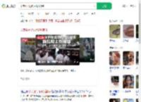 印度猴子抢钱后爬树撒钱_360搜索