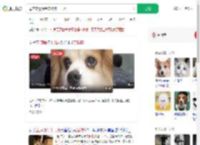 母亲立遗嘱给宠物狗十几万_360搜索