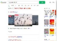 8万羽和平鸽飞向天空_360搜索