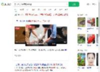 穿山甲误入闹市店主报警_360搜索