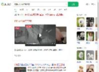 狗狗雨天叼雨布盖芝麻_360搜索