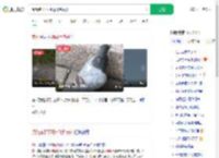 阅兵鸽子不可能飞到贵州_360搜索