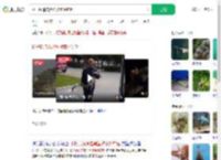 扬子鳄追击黑鱼被意外钓起_360搜索