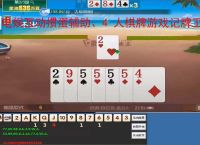 电娱互动掼蛋辅助、4 人棋牌游戏记牌工具,电娱互动 4 人掼蛋电脑记牌器