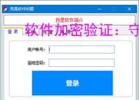 软件加密验证：守护数字资产安全的核心技术