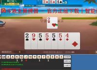 QQ斗地主算牌器 - 官方正版下载丨智能记牌 胜率分析丨防检测 免费使用