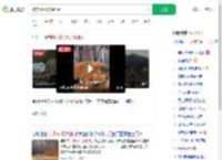 被东风5C烧饼馋到了_360搜索