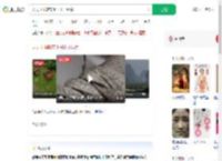 天天下雨鞋带上长出了绿芽_360搜索