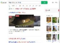 夜遇野生东北虎大喊：本地的_360搜索