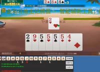 黄金岛斗地主记牌器 - 智能辅助工具，助你轻松赢牌