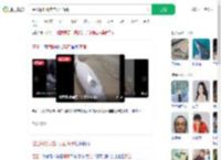 湛江海滩现难产死亡海豚_360搜索