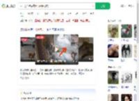 猴子抢面包后携猴群组团抢店_360搜索