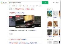 避让未牵绳贵宾犬致9级伤残_360搜索