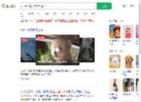 女子给小狗买冬衣挂满阳台_360搜索