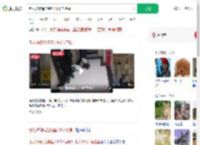 老人被狗绳拖拽坠1.5米电梯井_360搜索