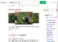 白菜免费视频致菜农白菜遭抢_360搜索