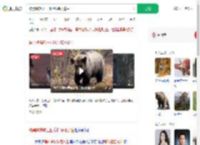 被黑熊撕咬三四分钟装死逃生_360搜索