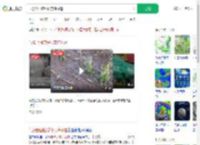 气象台回应绥化突降冰雹_360搜索