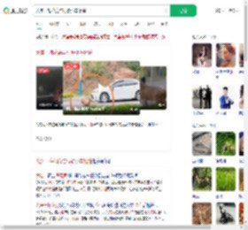 大连一梅花鹿与行驶小车相撞_360搜索