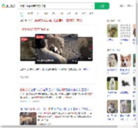 土狗长毛靠智商在狗群称霸_360搜索