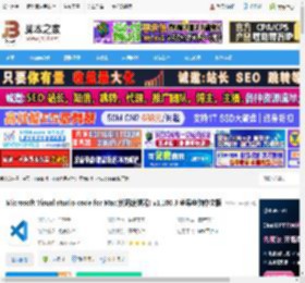 VSCode mac版下载 Microsoft Visual studio code for Mac(代码编辑器) v1.100.3 苹果电脑中文版 下载-脚本之家