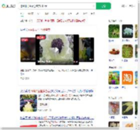 挖44株野生雪莲售卖2000元_360搜索