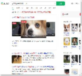 母亲立遗嘱给宠物狗十几万_360搜索