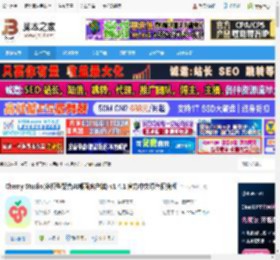 Cherry Studio下载 Cherry Studio(多模型聚合AI桌面客户端) v1.4.1 官方中文绿色便携版 下载-脚本之家